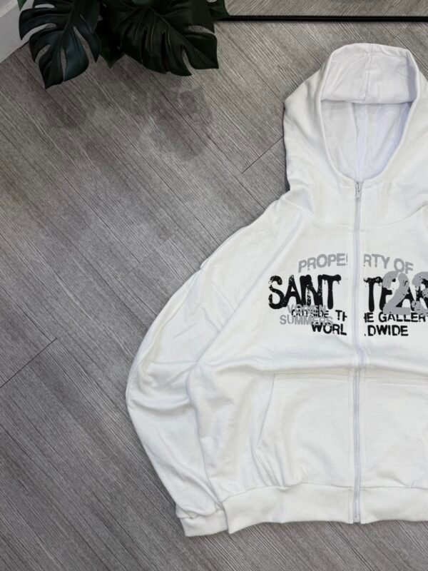 IMG_2119 Zip Boxy Saint