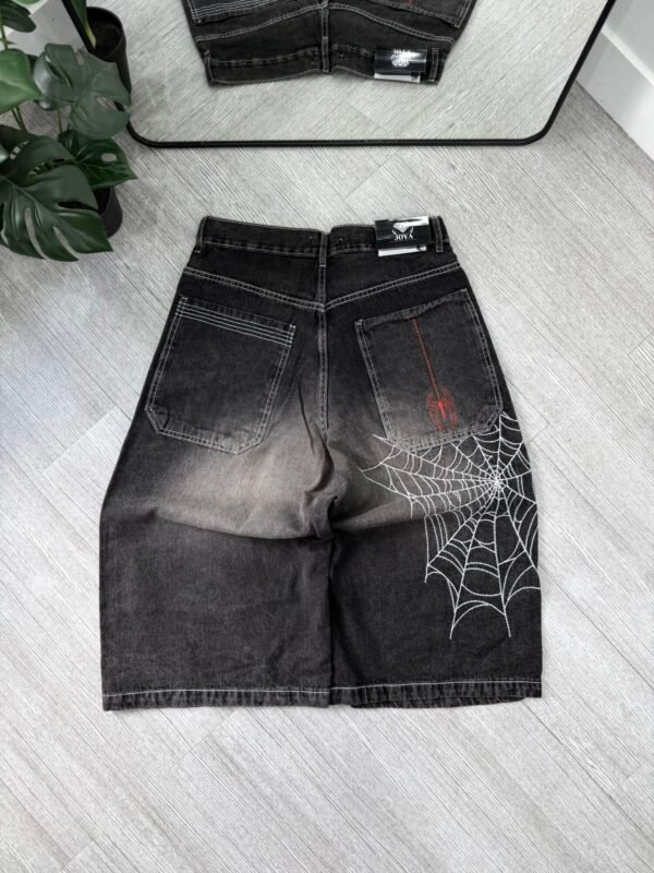 IMG_2554 Jort Baggy Spider