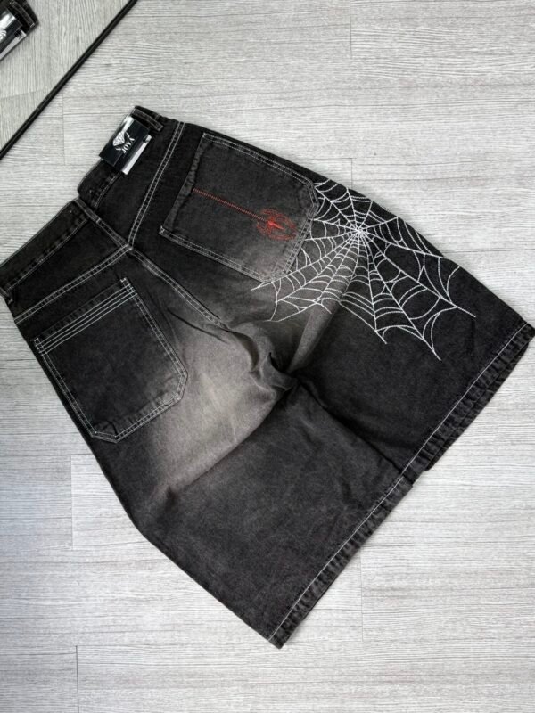IMG_2555 Jort Baggy Spider